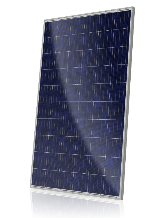Canadian Solar 275 watt Poly panel